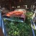 1969 Dodge Charger Barn Find: Spring Hill Florida Survivor "Cobwebs Are Free" with Purchase