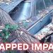 1962 Chevrolet Impala Trapped Under Collapsed Roof Now Searching for Real Home