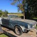 Forgotten D-Code 1964½ Mustang Convertible Emerges After 35 Years: The Good Engine News